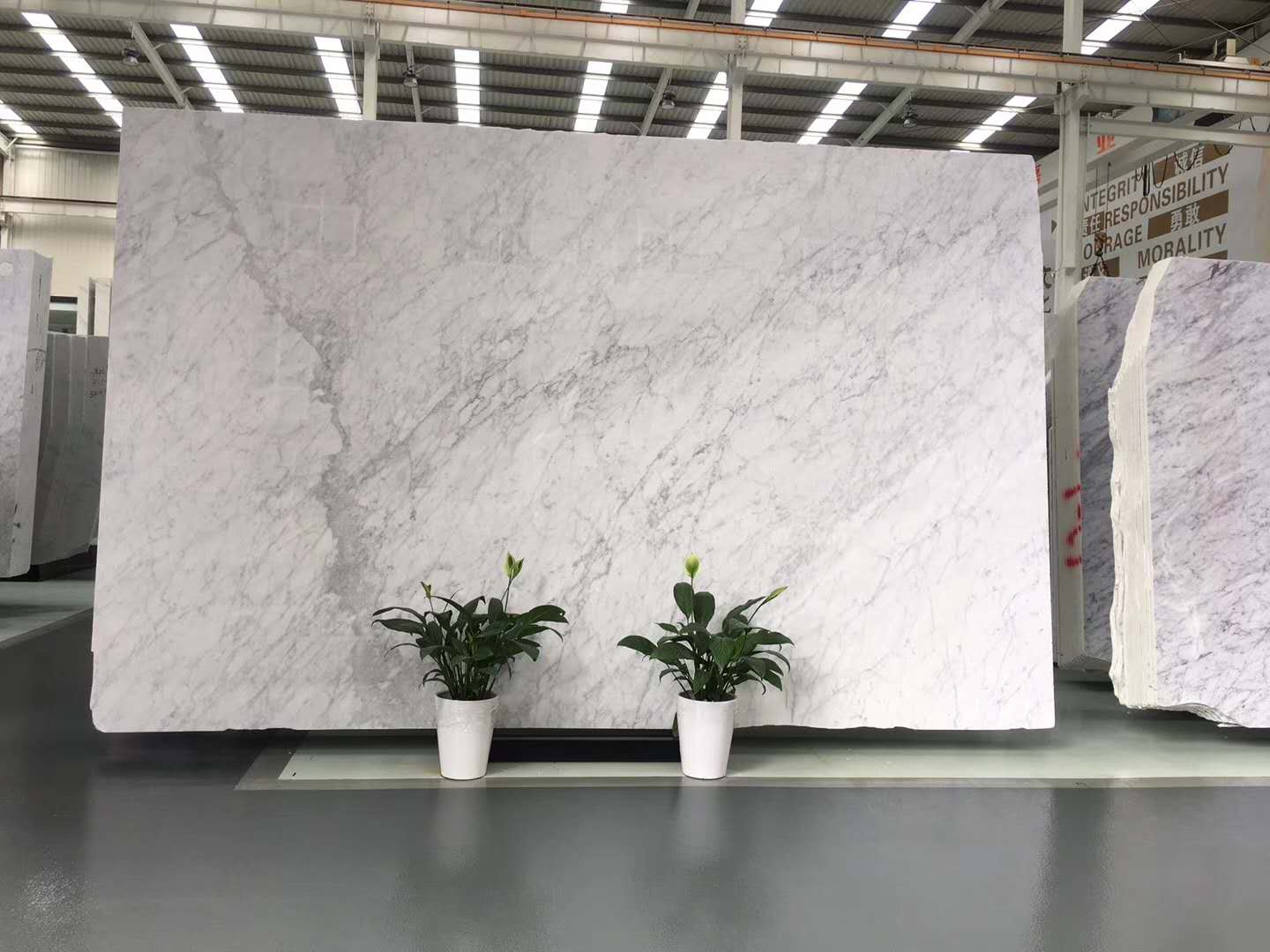 Sunny Carrara White Floor Tiles Marble Slabs