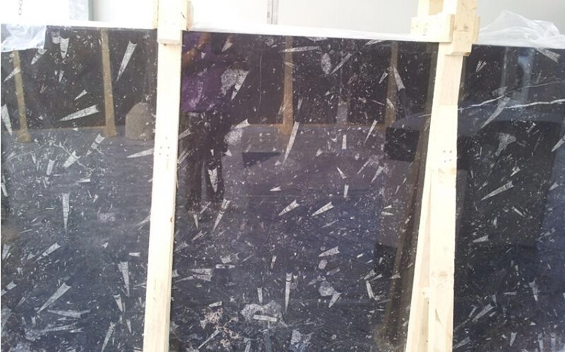 Imported Black Fossil Marble