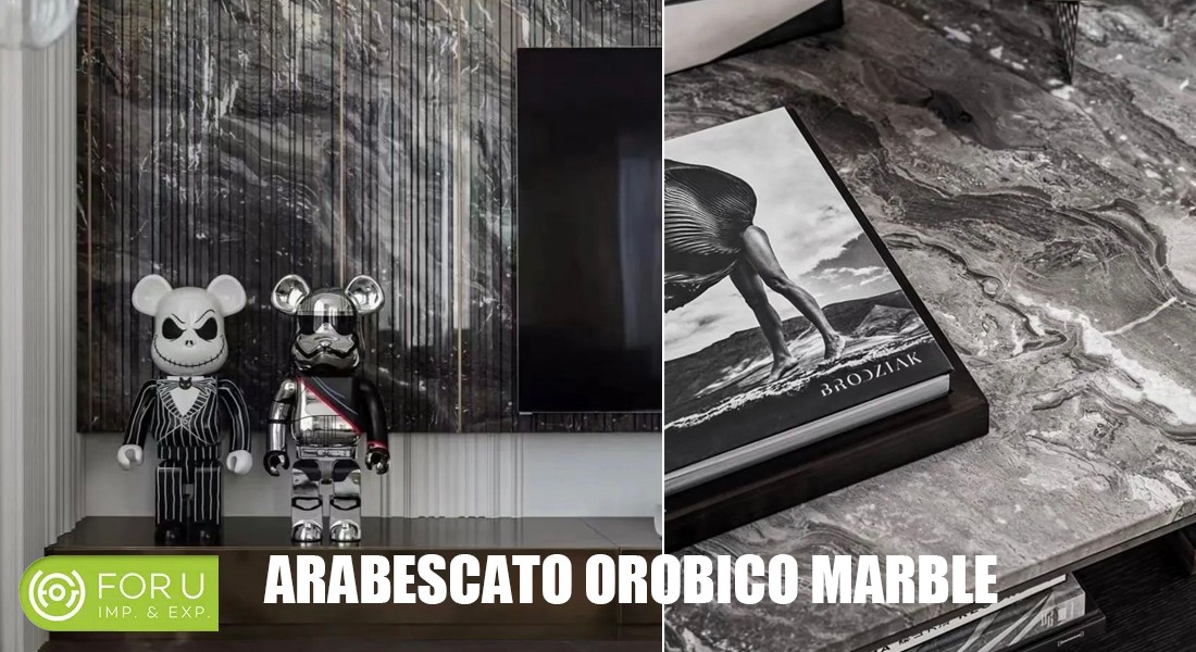 Arabescato Orobico brown Marble wall and tables