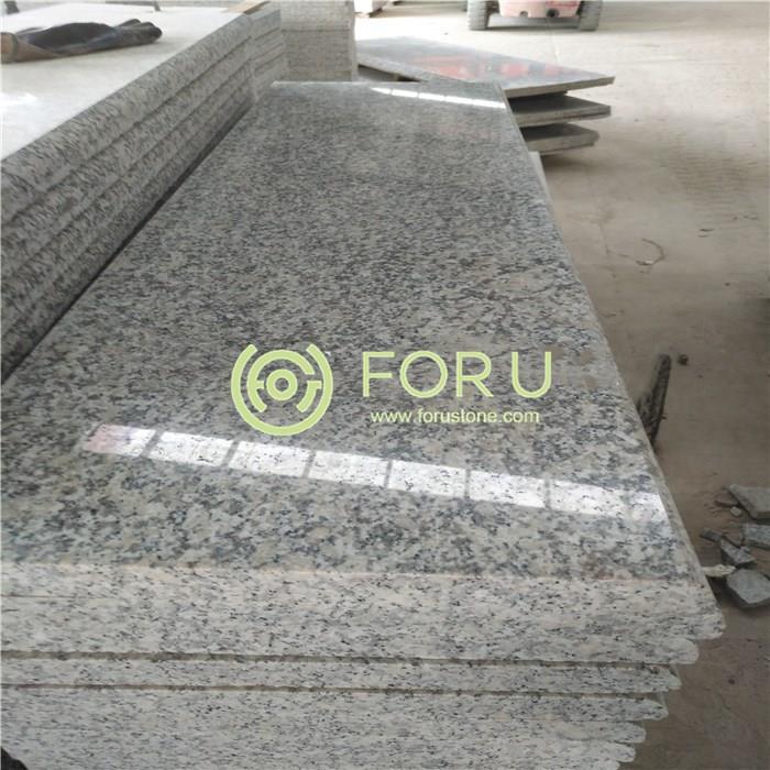 China Grey Granite Gray Silver Granite G602 Granite for Floor