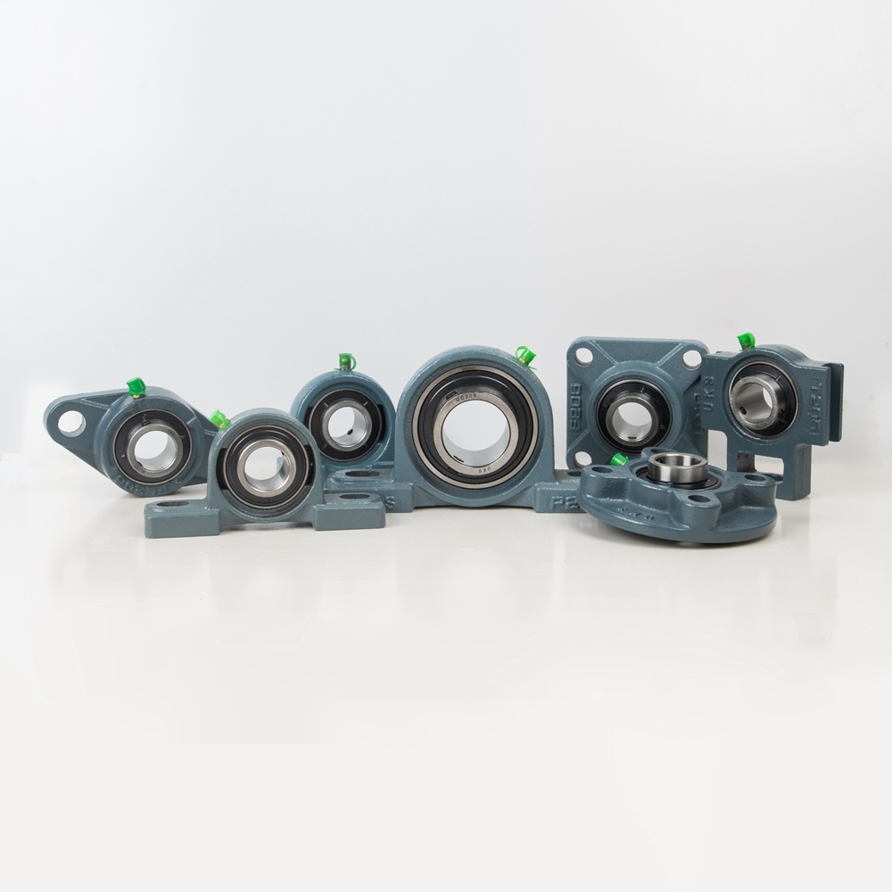 What are the key features and specifications to consider when evaluating China's cheap Cast Iron Block Bearings?