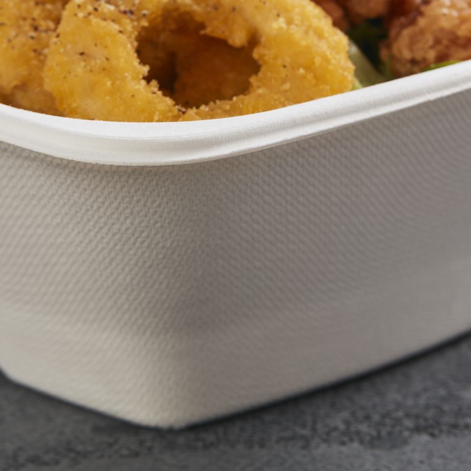 biodegradable sugarcane bowl square