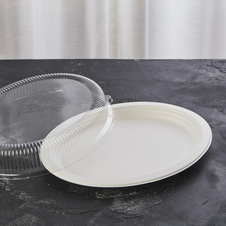 oval plate biodegradable