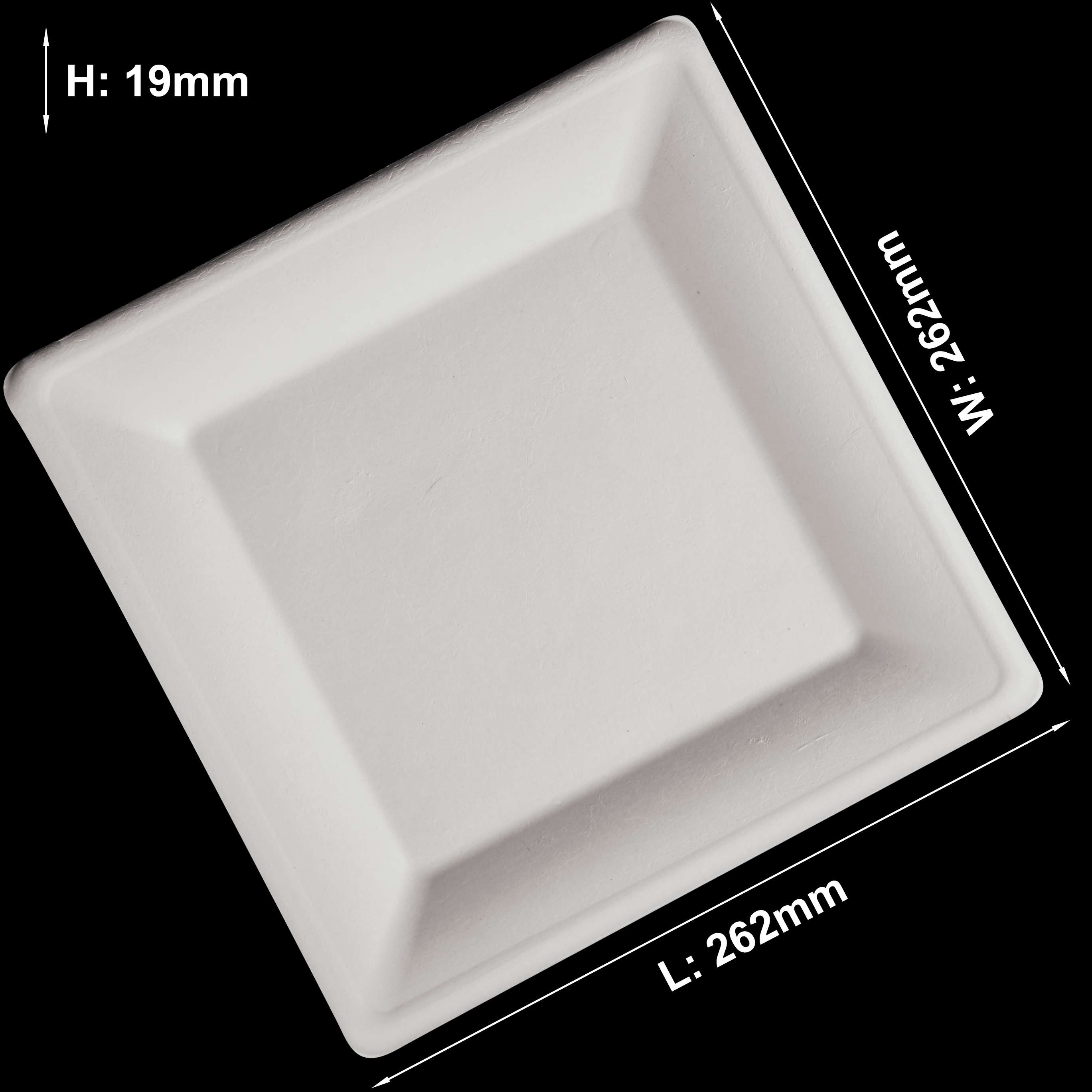 bagasse plates square