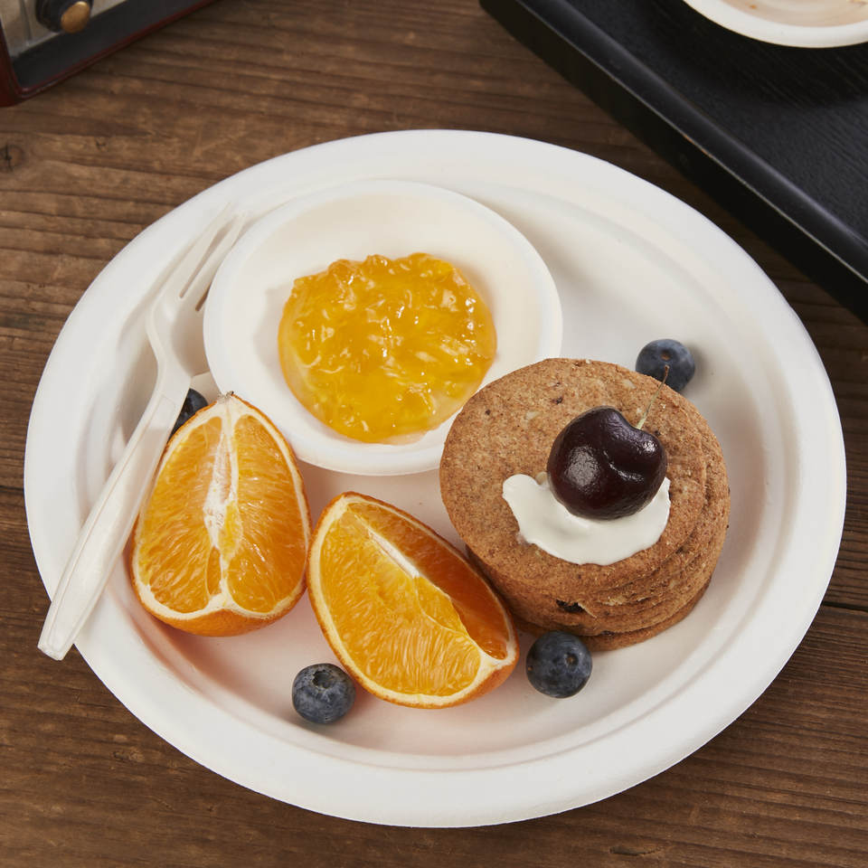 Thanksgiving dinner paper plates