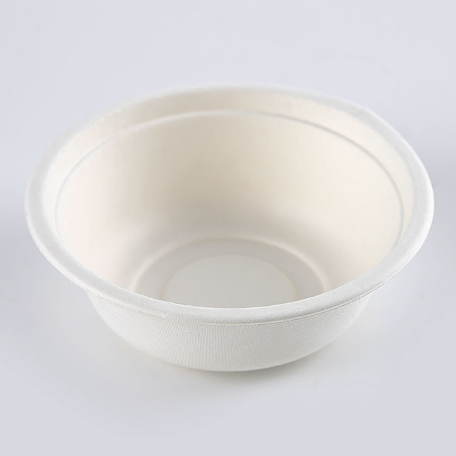 sugarcane bowl biodegradable