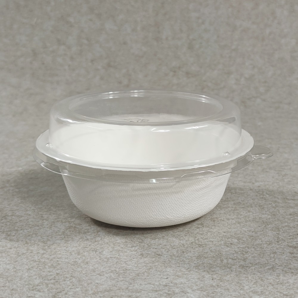 sugarcane bowl with clear lid