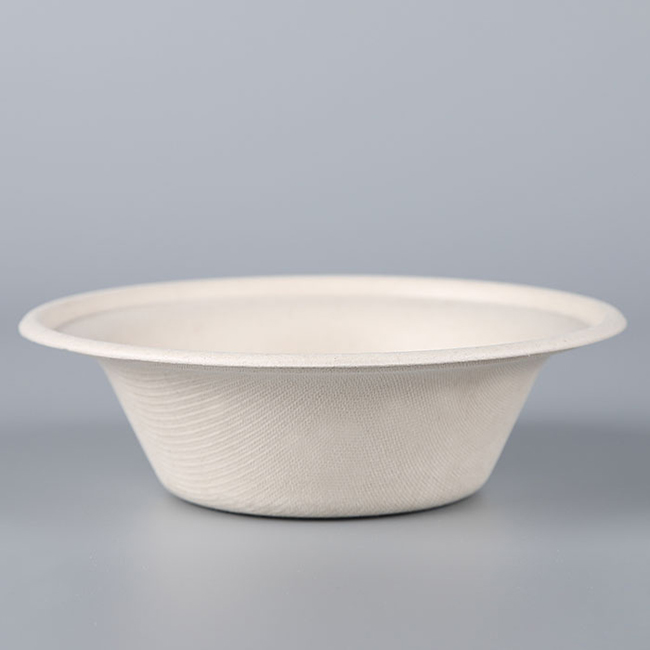 sugarcane bowl biodegradable