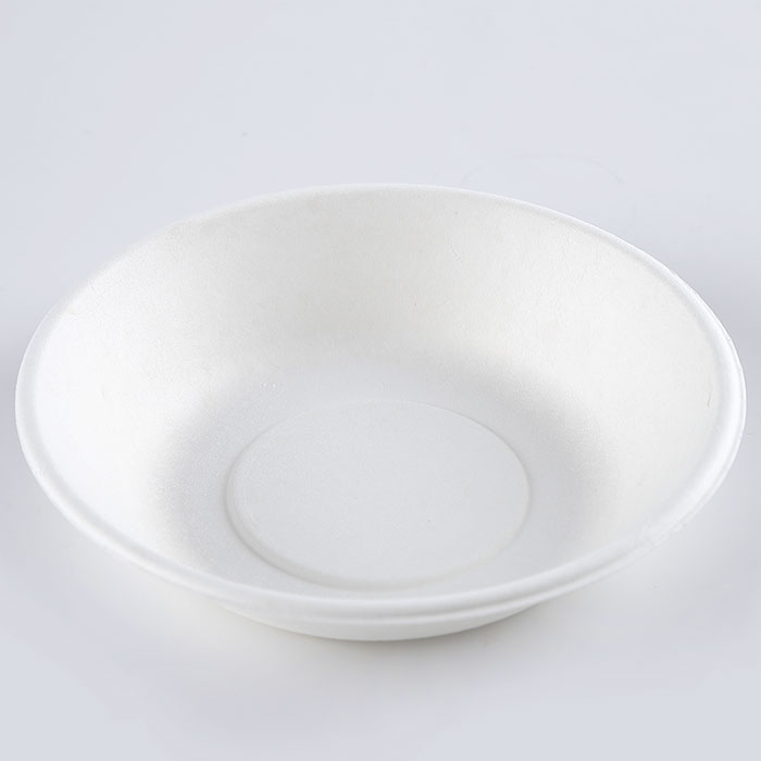 bagasse plates and bowls