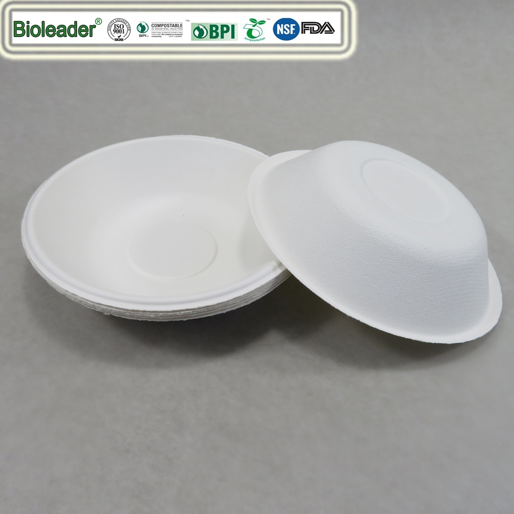 sugarcane bagasse plates and bowls