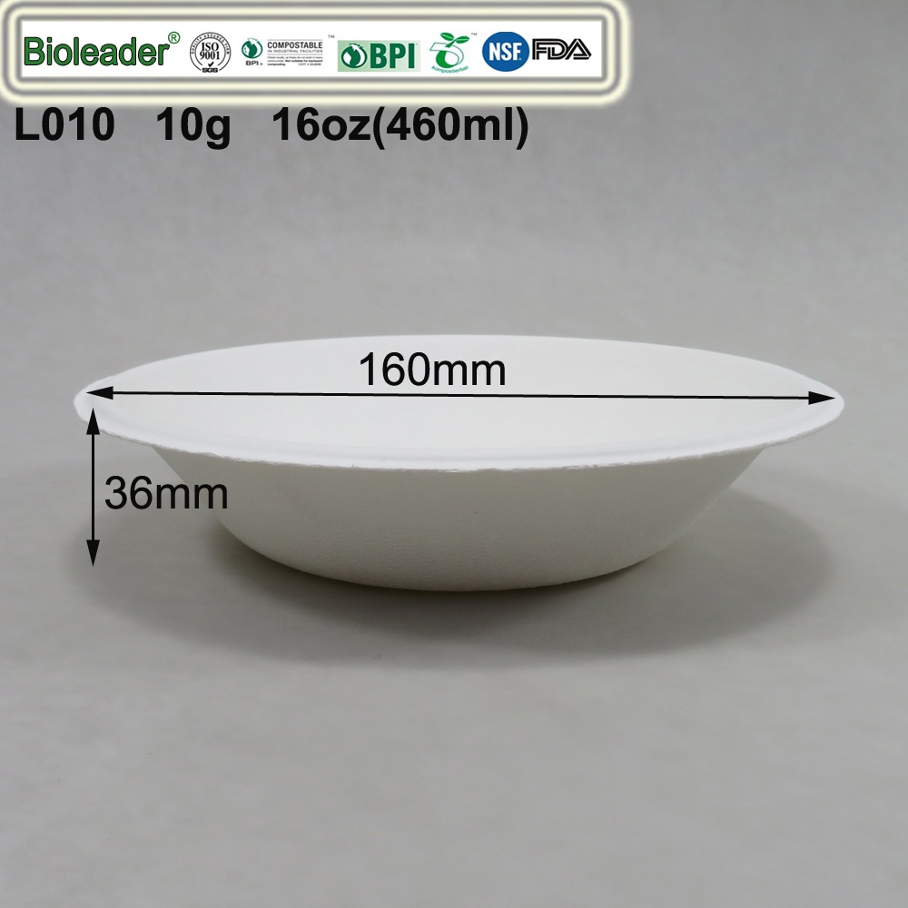 Eco Friendly Disposable Plates and Bowls Sustainable