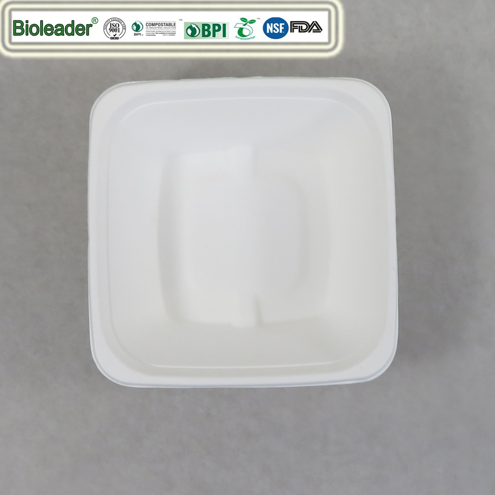 disposable sugarcane bowl square 