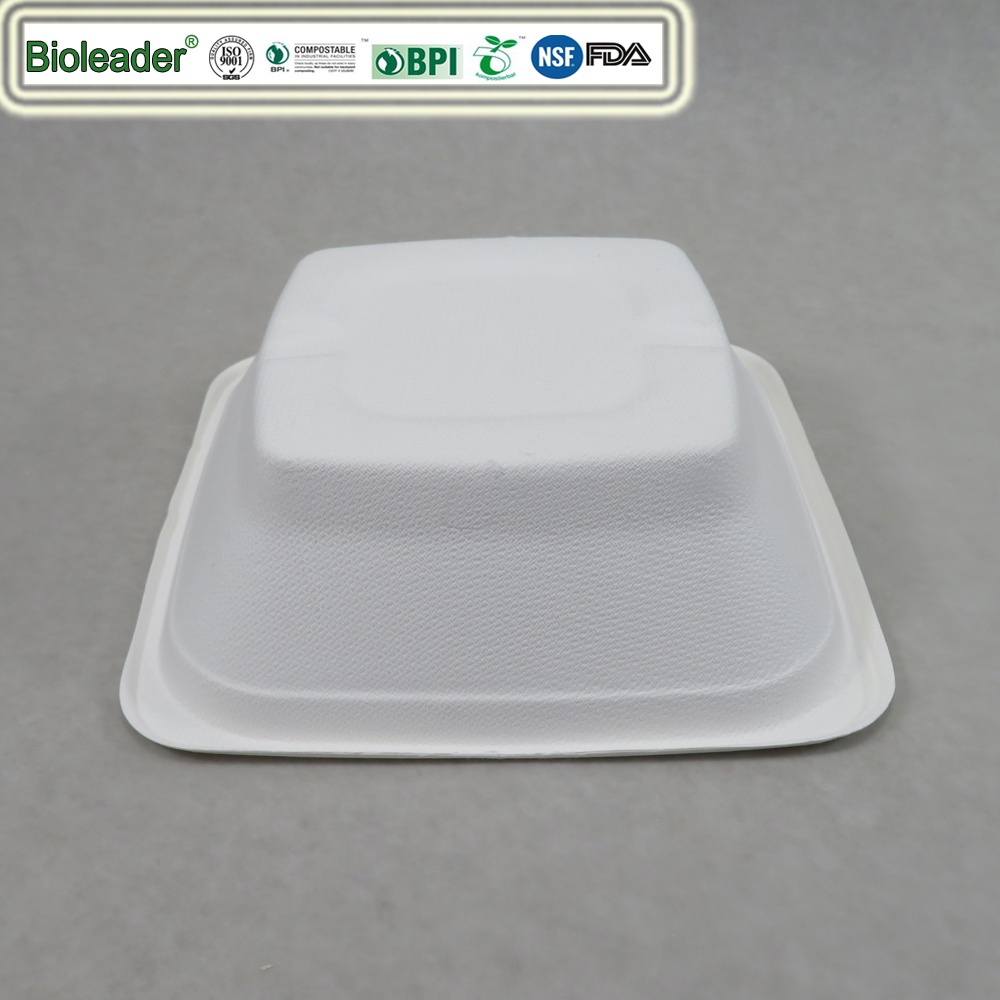 disposable bagasse bowl square 