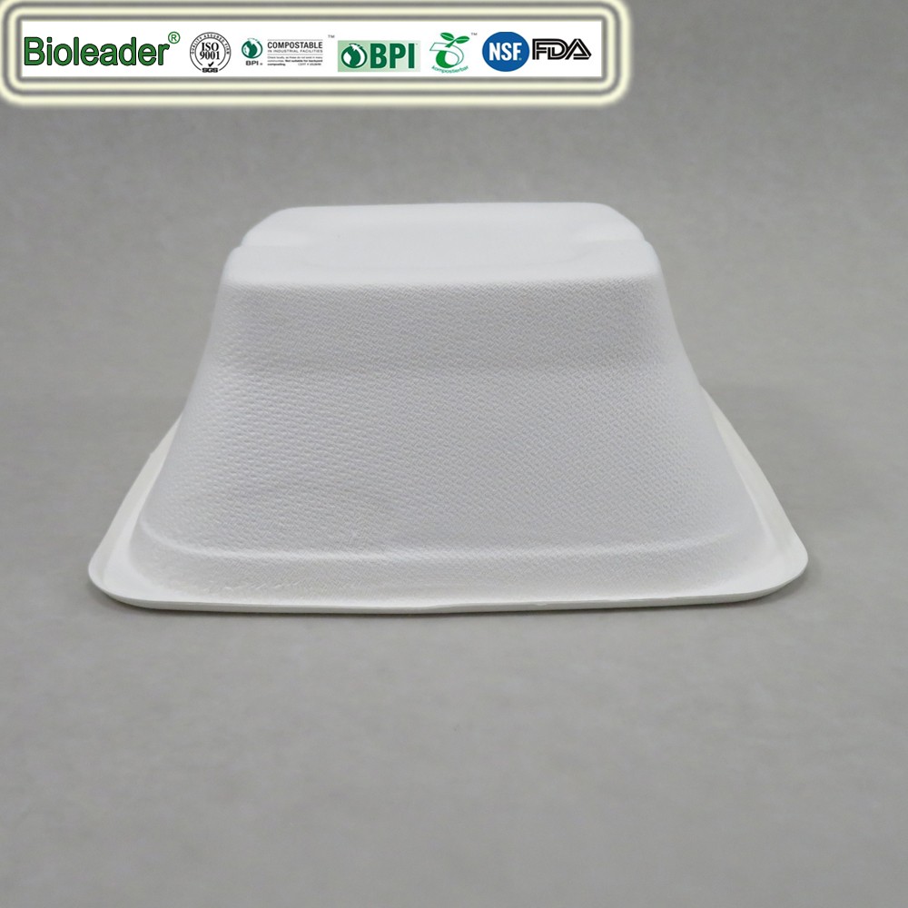 sugarcane bagasse bowl square 