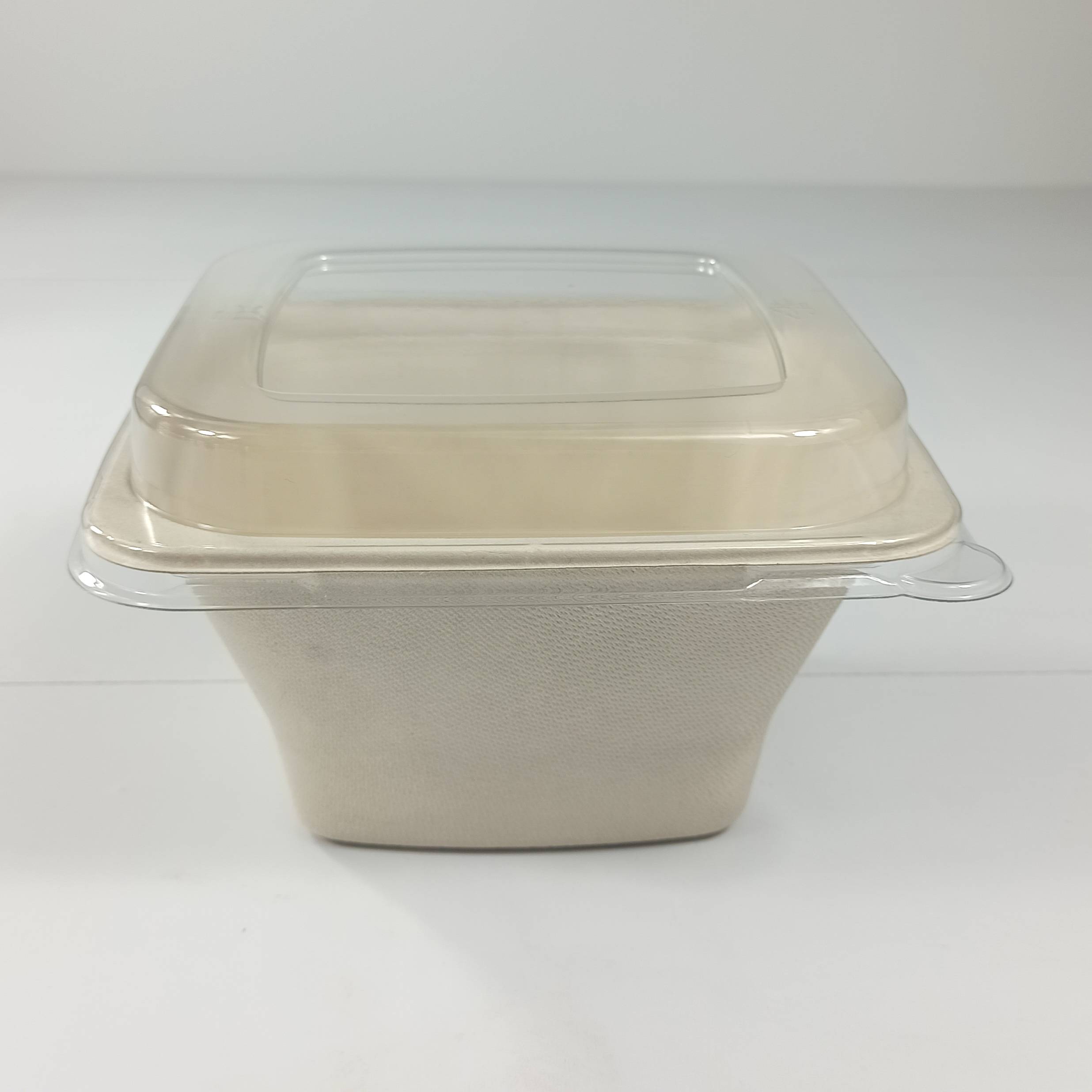 sugarcane bowl with plastic lid