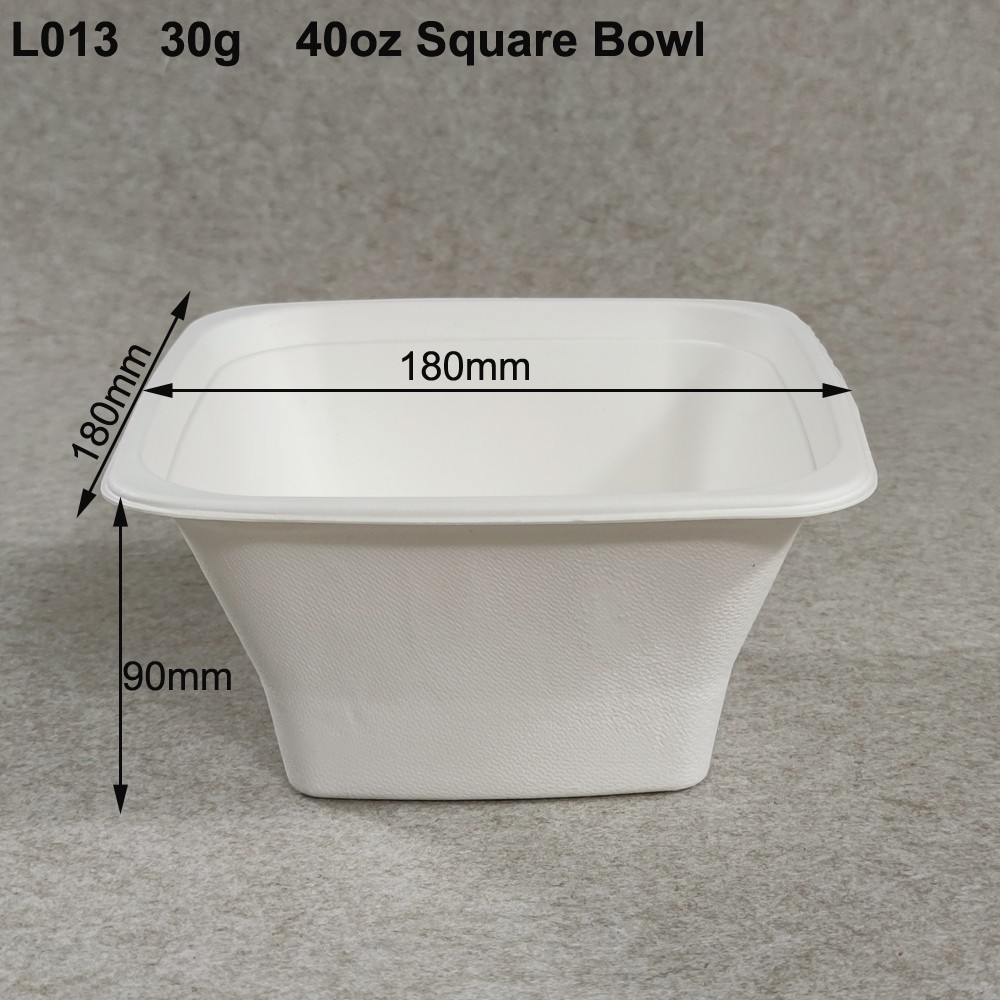 sugarcane bagasse bowl square