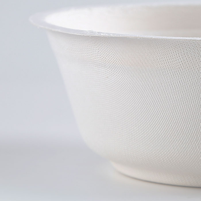 sugarcane biodegradable bowl