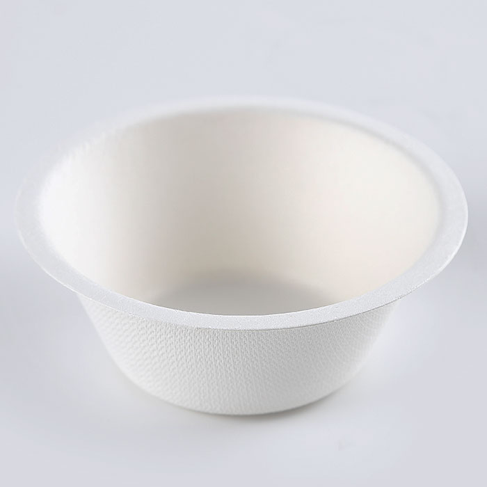 sugarcane bowl disposable small