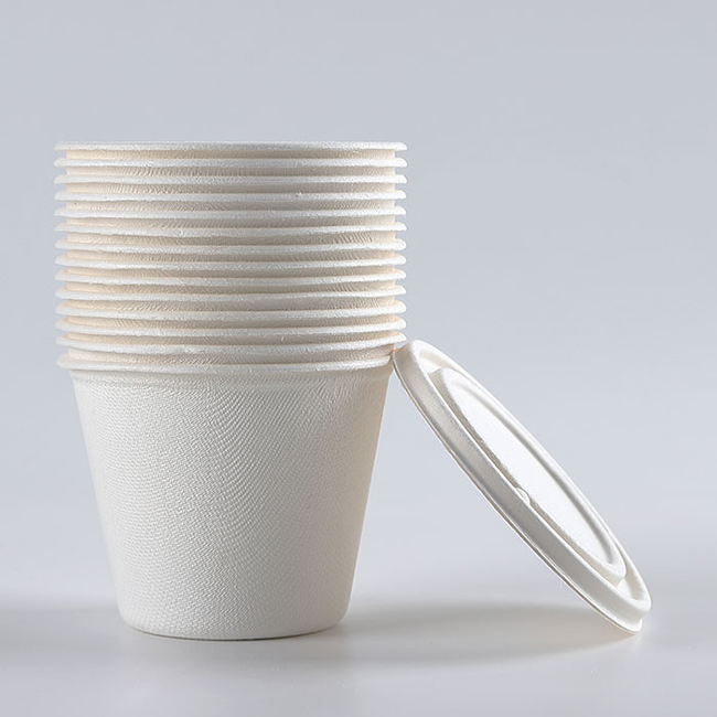 sugarcane soup bowl disposable 