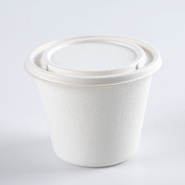 biodegradable sugarcane bowl 16oz