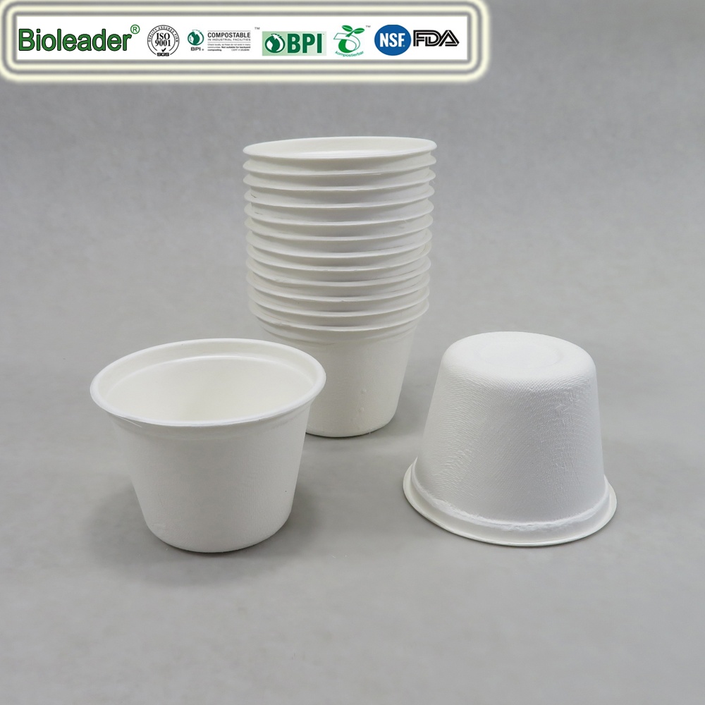 sugarcane cups small