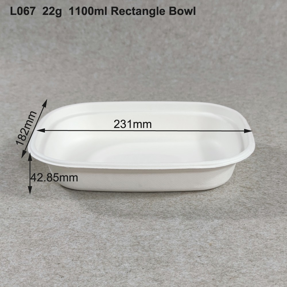 Sugarcane Bagasse Takeaway Salad Bowls