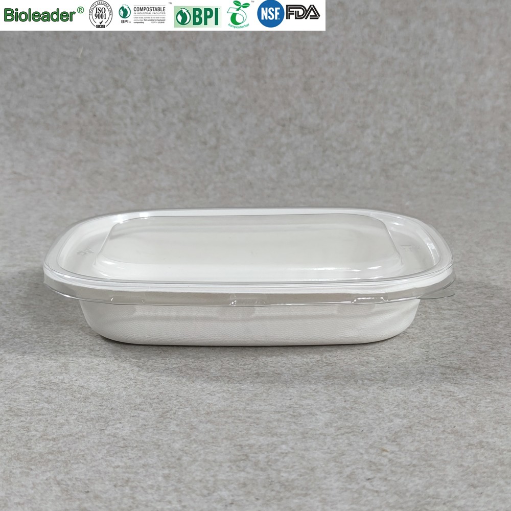 bagasse bowl rectangle