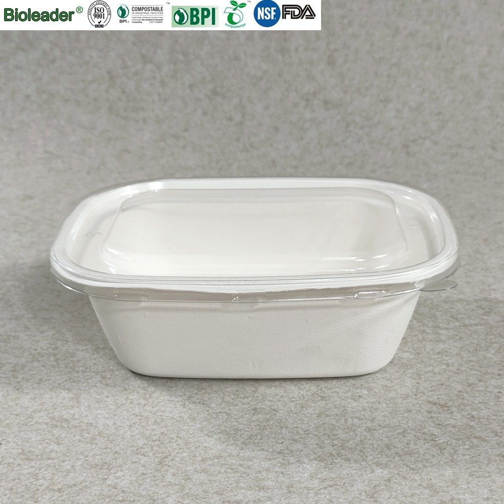 Disposable Take Out Bowls Salad Containers