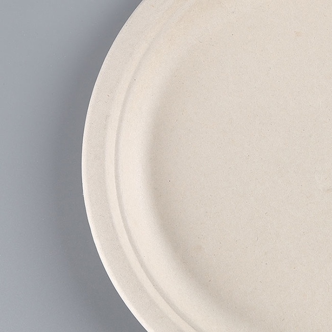 sugarcane bagasse plates