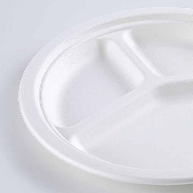 3 compartment disposable plates