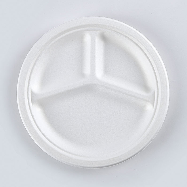 compartment disposable plates