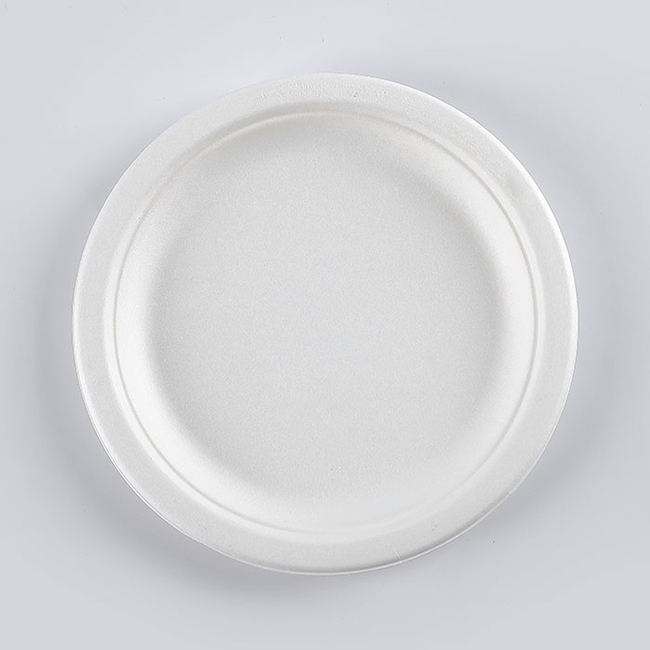 7 inch paper plate