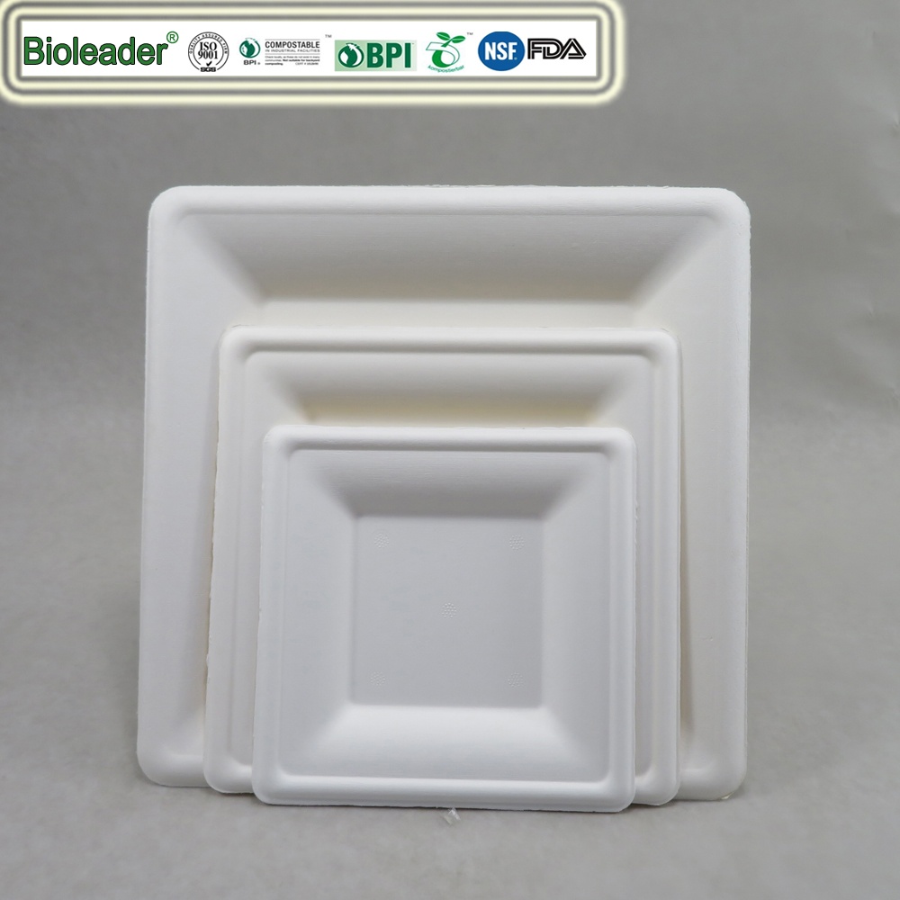 Biodegradable Sugarcane Bagasse Small Square Plates Paper Dessert White