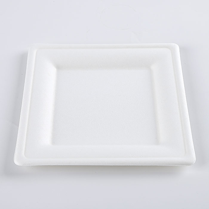 biodegradable square plates