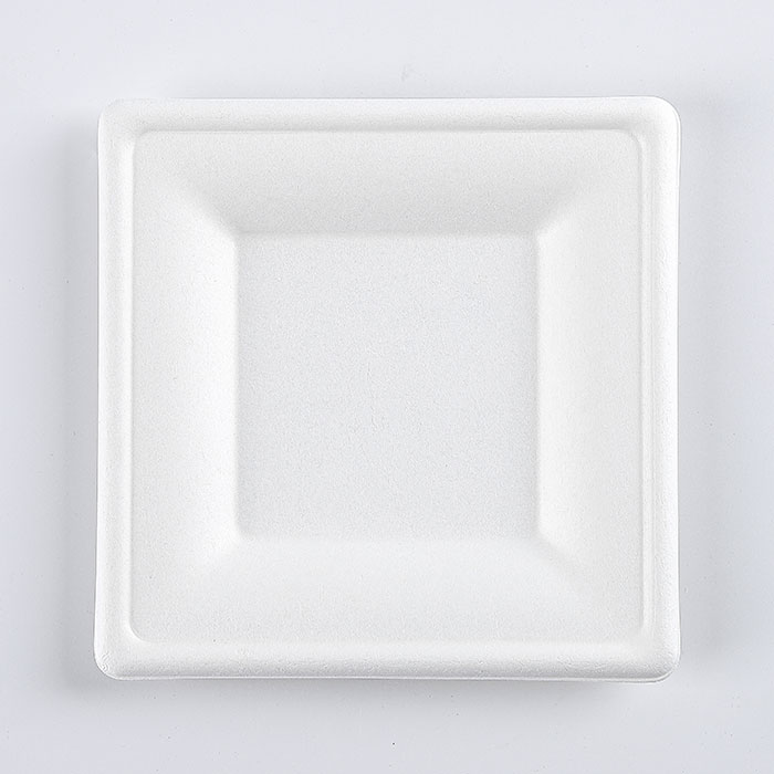 sugarcane square paper plates