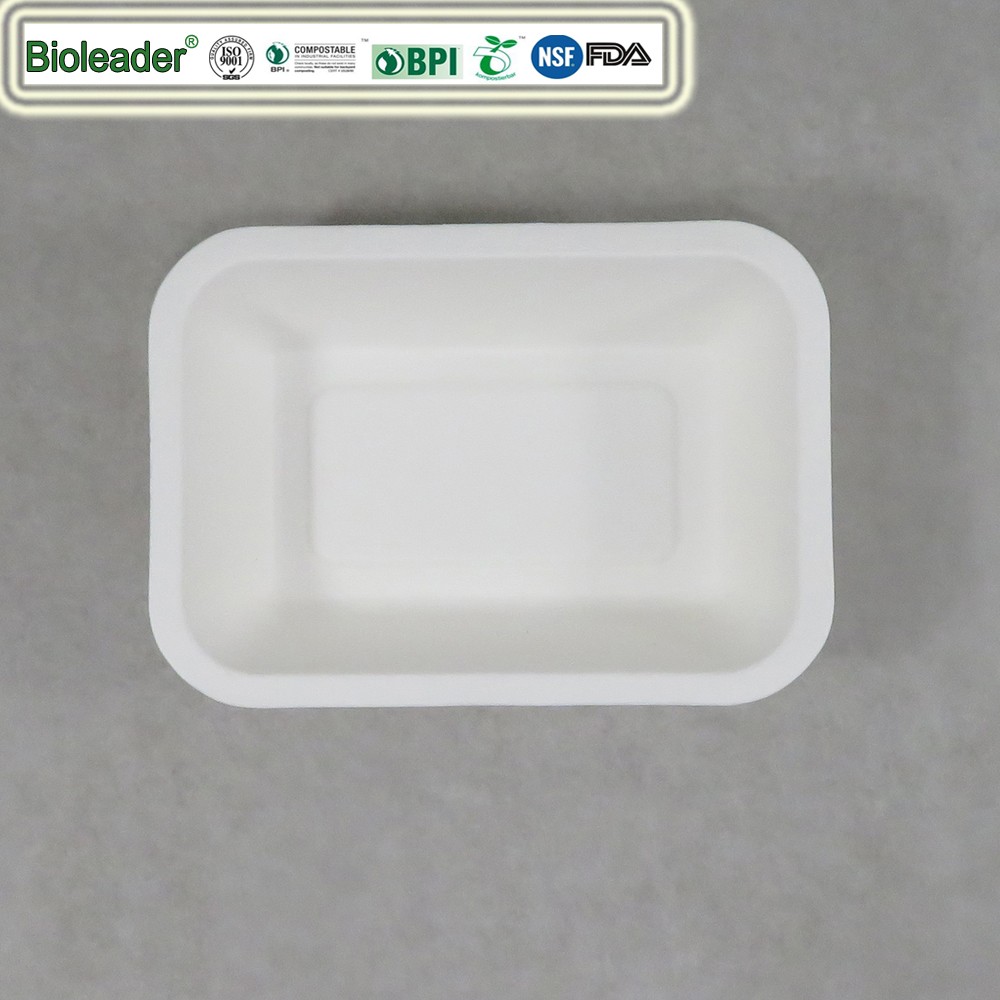 sugarcane pulp tray 7x5