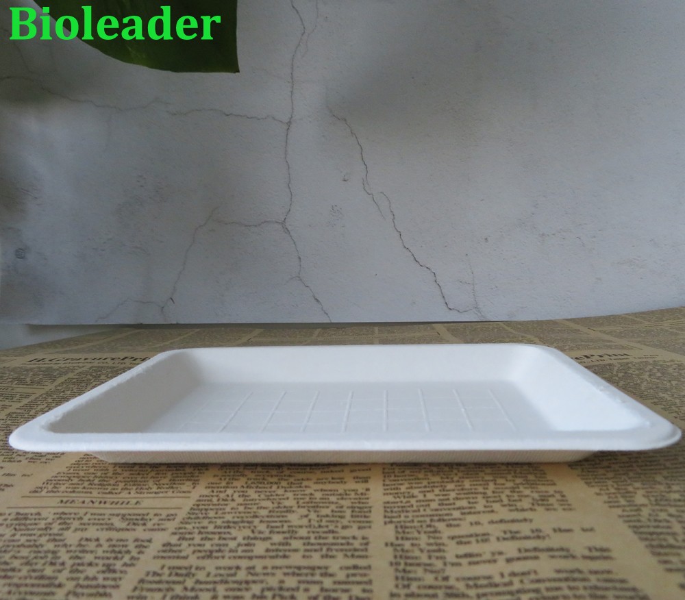 sugarcane pulp tray 8x5