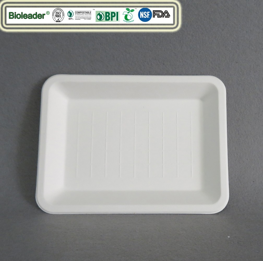 Disposable Biodegradable Compostable Serving Trays Platters