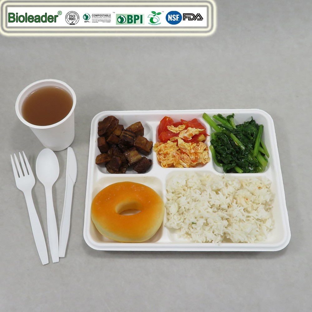 Disposable 5 Compartment Plates Paper Lunch Tray With Lid