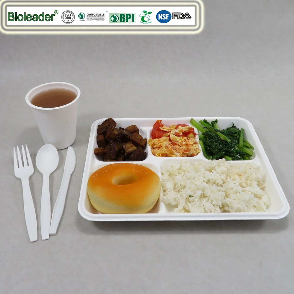 Disposable 5 Compartment Plates Paper Lunch Tray With Lid