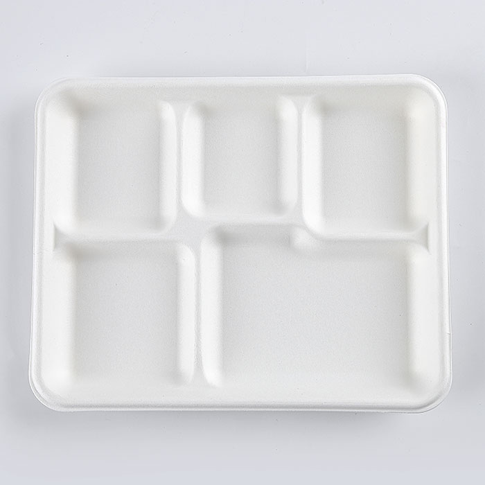 Disposable 5 Compartment Plates Paper Lunch Tray With Lid