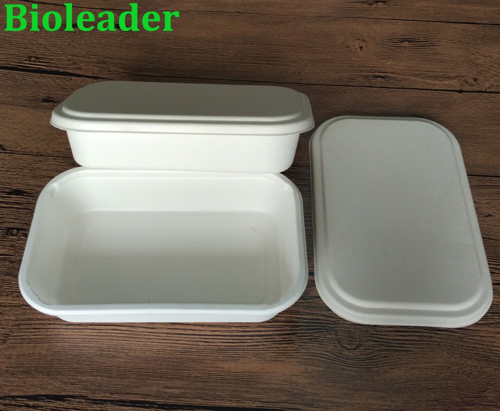 biodegradable air lunch box