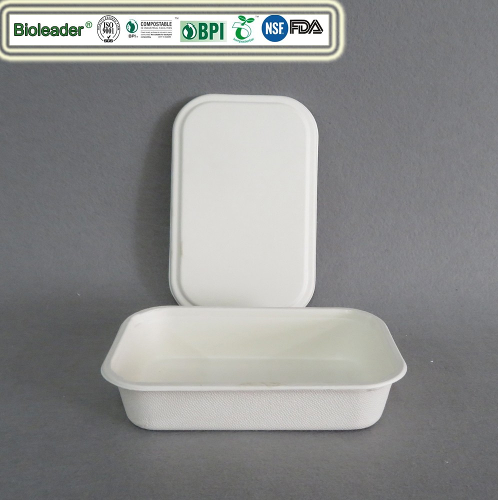 Biodegradable Compostable Airplane Lunch Box Airline Meal Box Dessert Tray with Lid