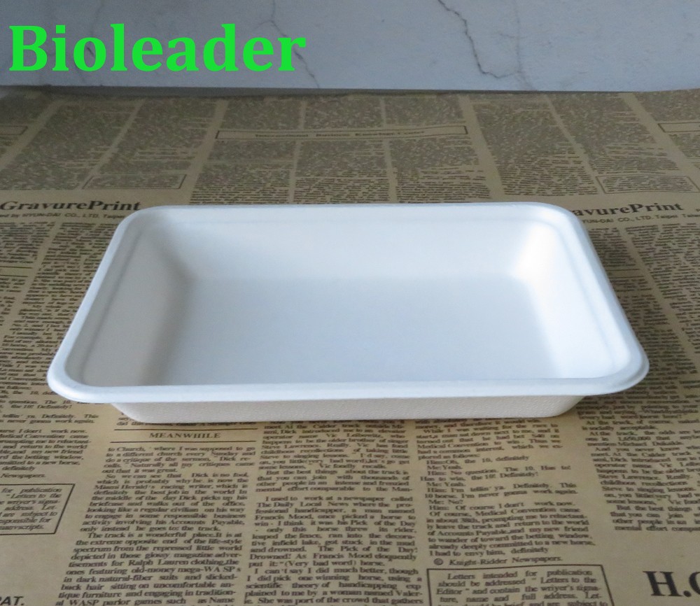 bagasse food serving trays