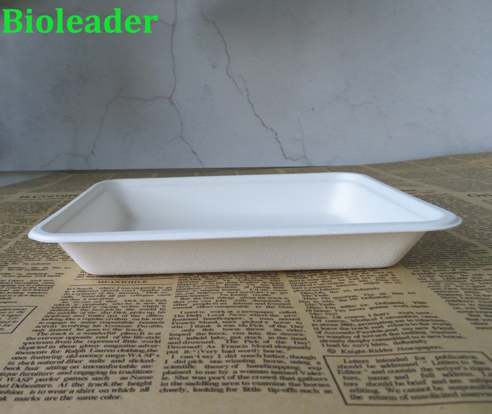 biodegradable disposable food serving tray