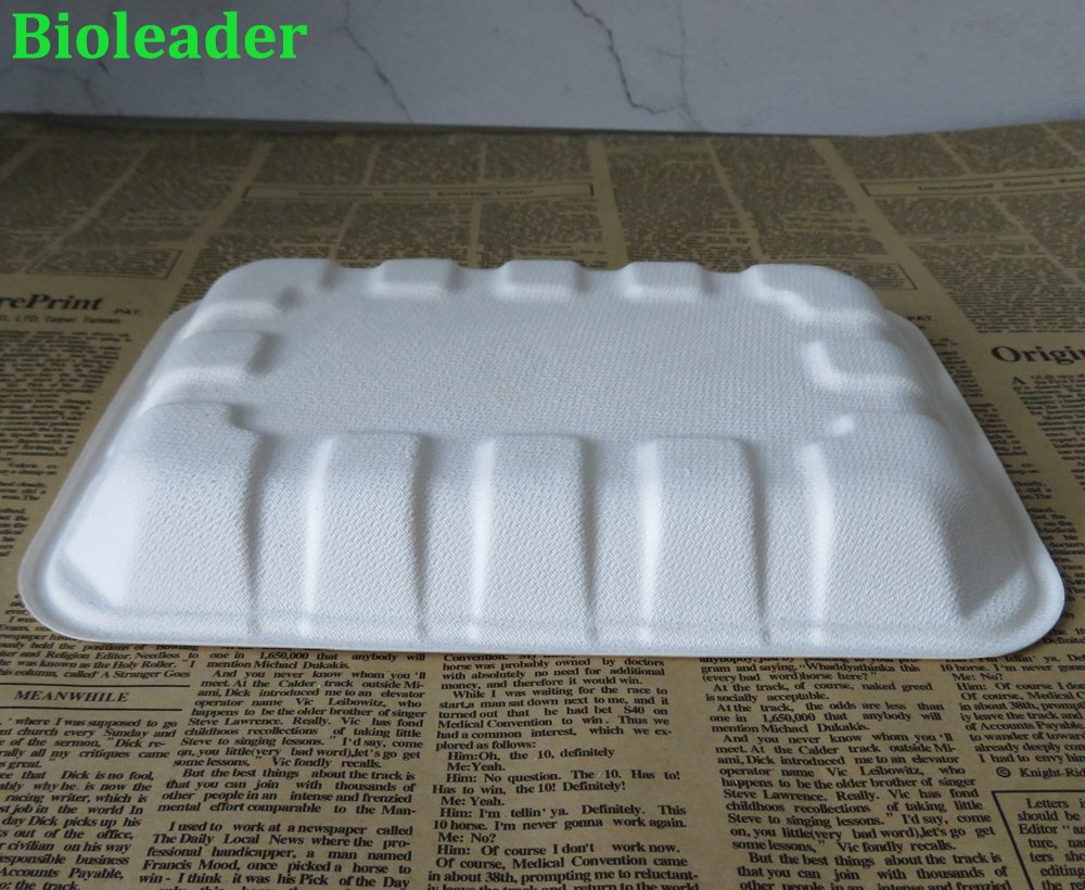 sugarcane vegetable packaging tray