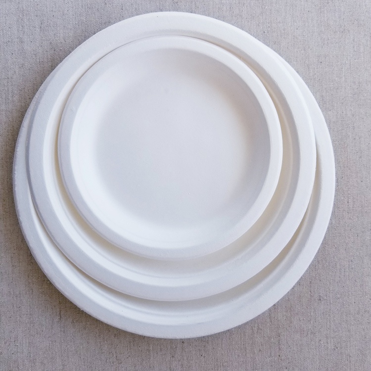 biodegradable plates