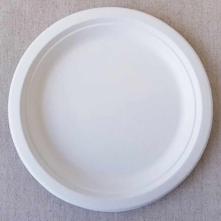 disposable party plates