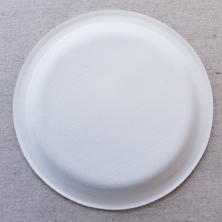 eco friendly paty plates