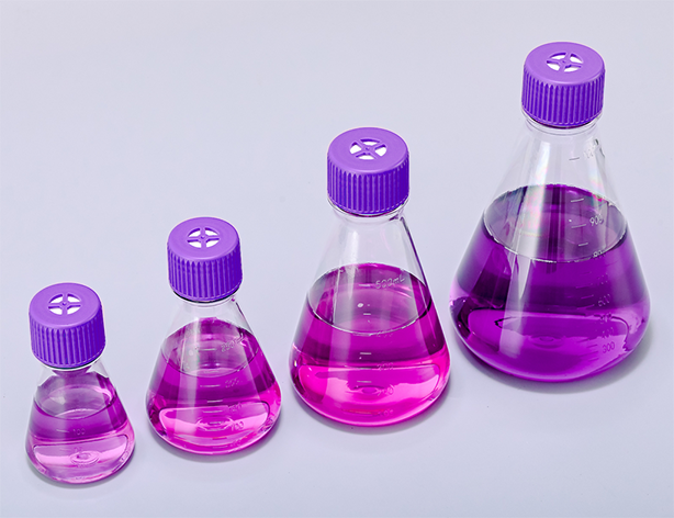 Welche Vorteile hat die Verwendung von konischen Erlenmeyerkolben aus Glas bei Laborversuchen?